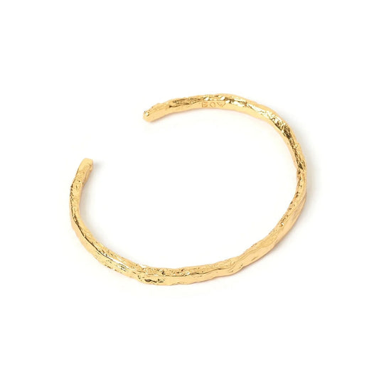 Evolution Bangle